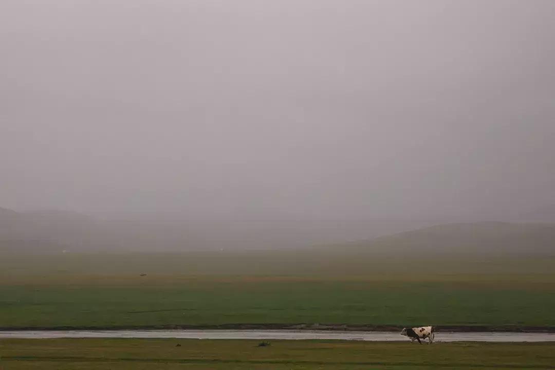 途达探索之旅,途达探索之旅完整版