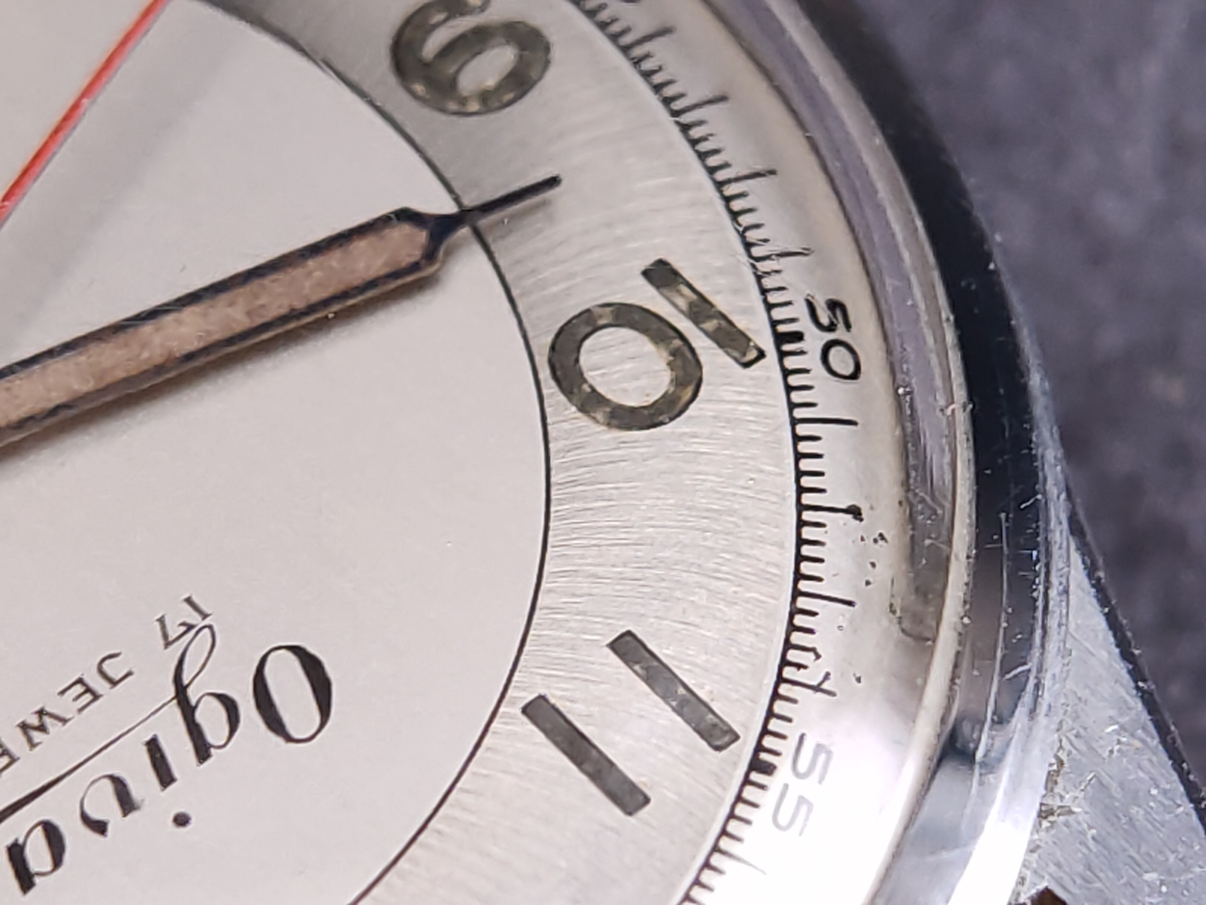 因为一条鱼爱上一个人,因一条鱼丢了一条命