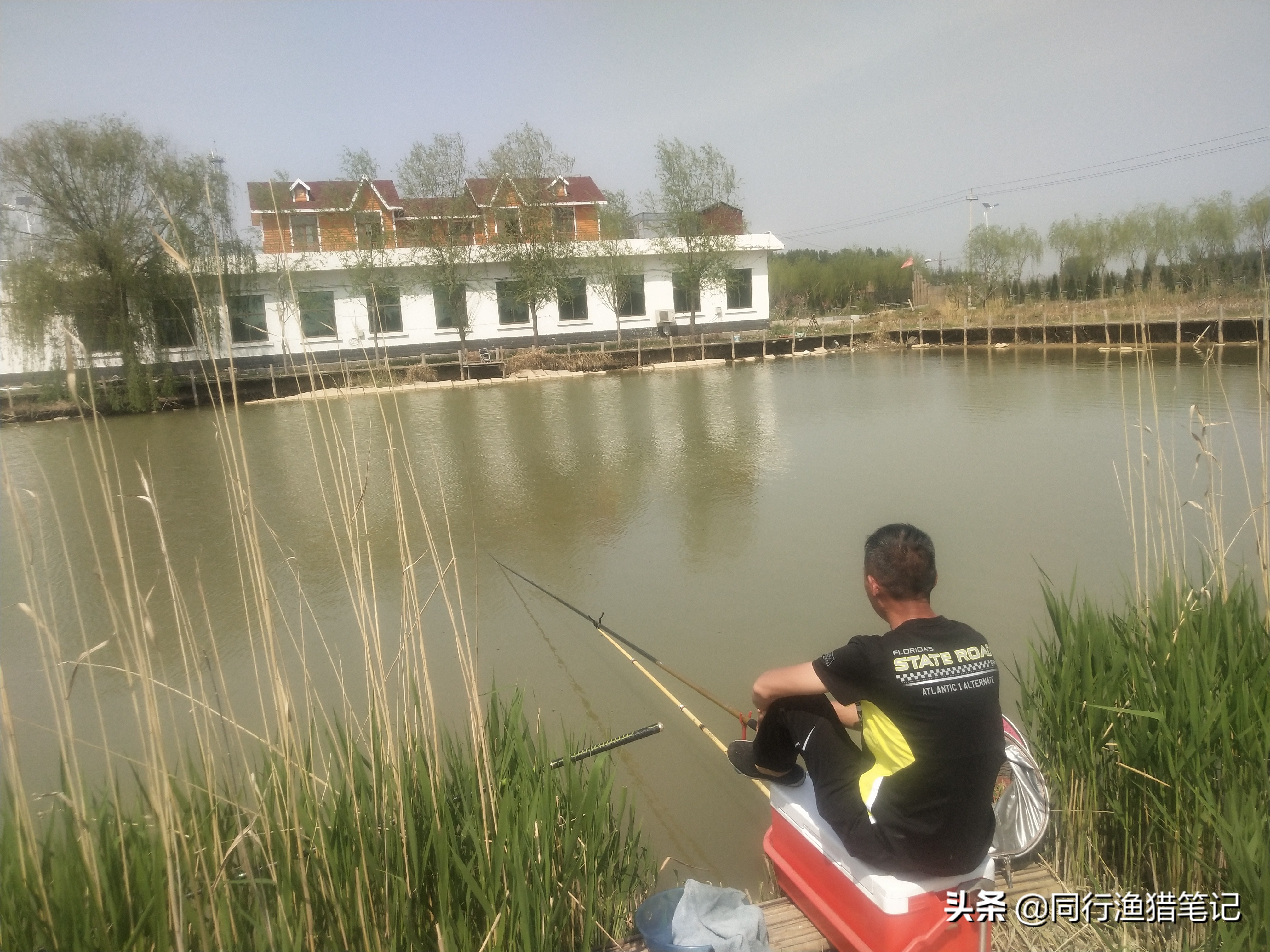 黑坑新放的3-5斤草鱼怎么钓,广东黑坑钓草鱼的正确方法与技巧