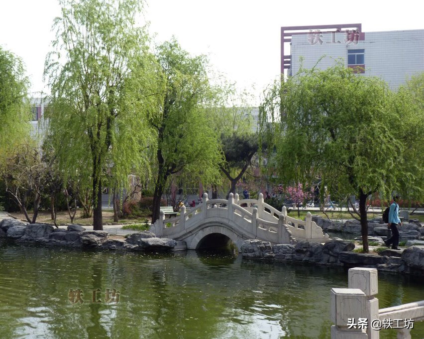 四所“全国唯一”大学，实力不一般，都是行业佼佼者