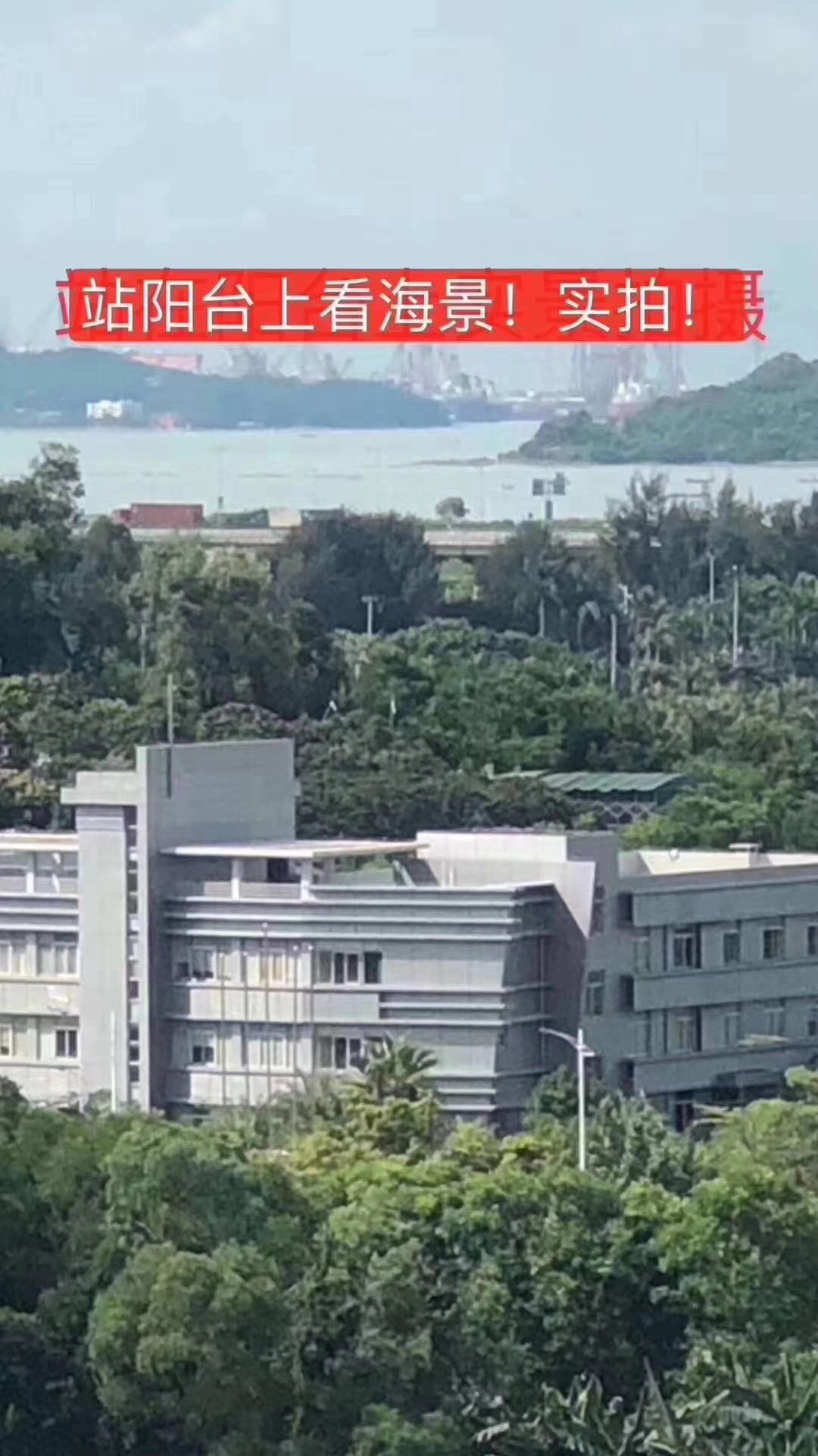 宝安西湾红树林公园看大海,宝安西湾红树林公园可以看海吗