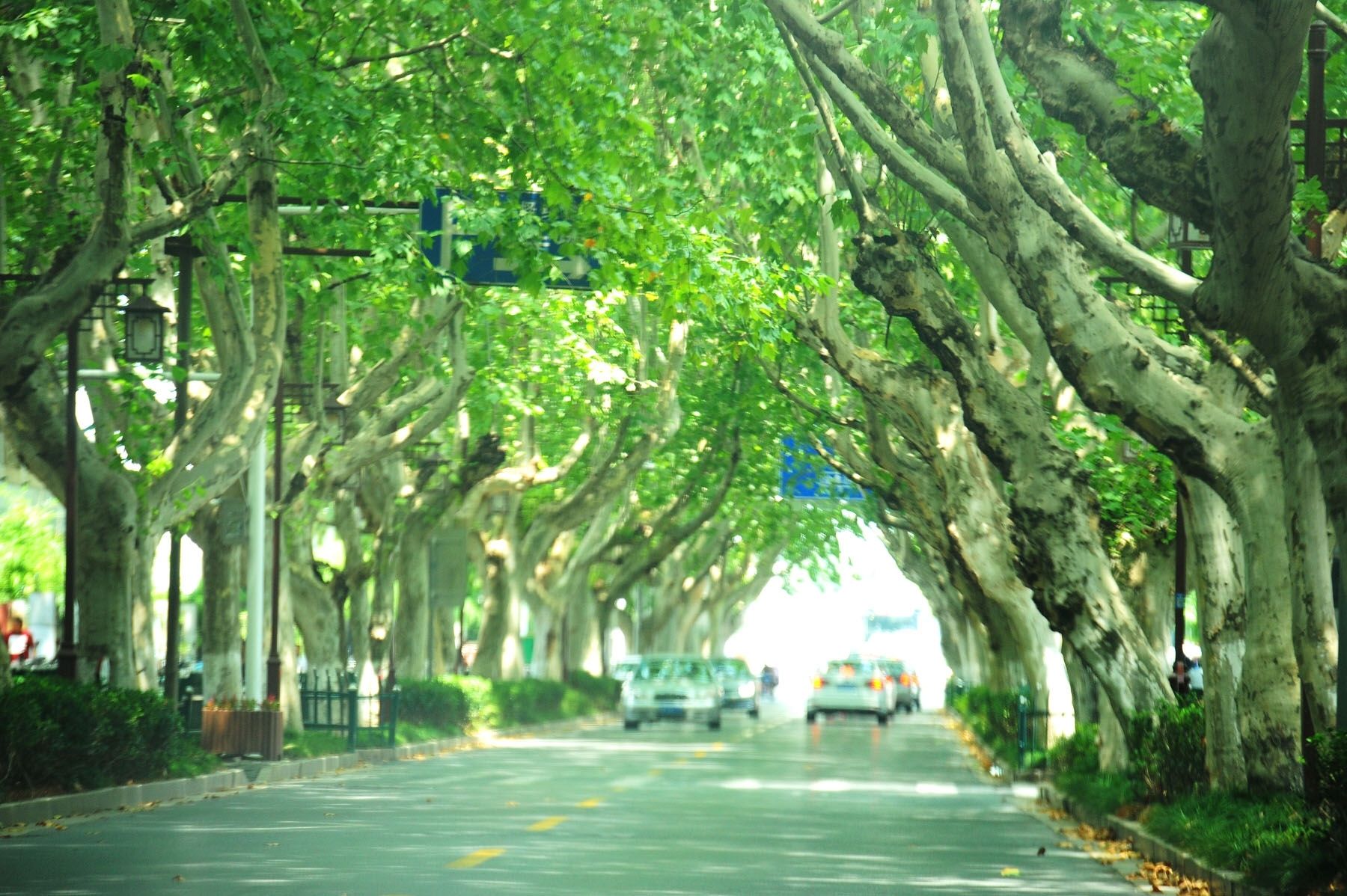 南京的湖南路旧照,南京湖南路地下商业街效果图