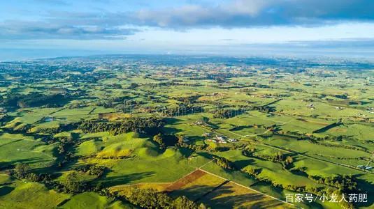 农药剂型那么多？怎么选最合适，怎么混配用？赶快收藏做笔记！