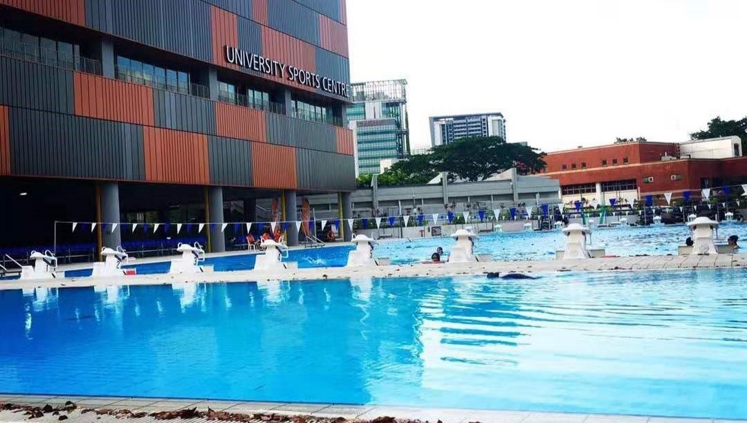 又便宜又容易又好玩儿的磁铁？材料学博士告诉你芯片研究有多难