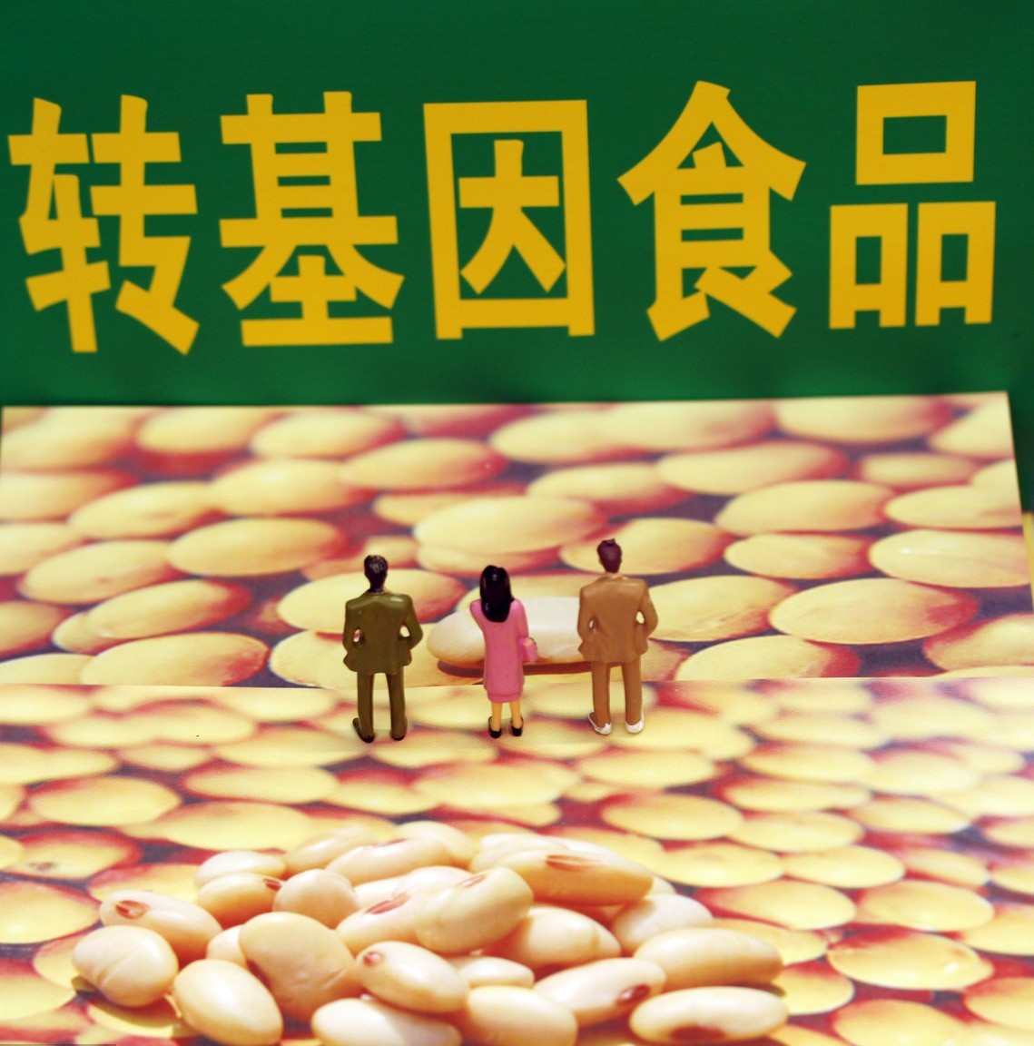 大北农转基因大豆阿根廷,大北农大豆转基因