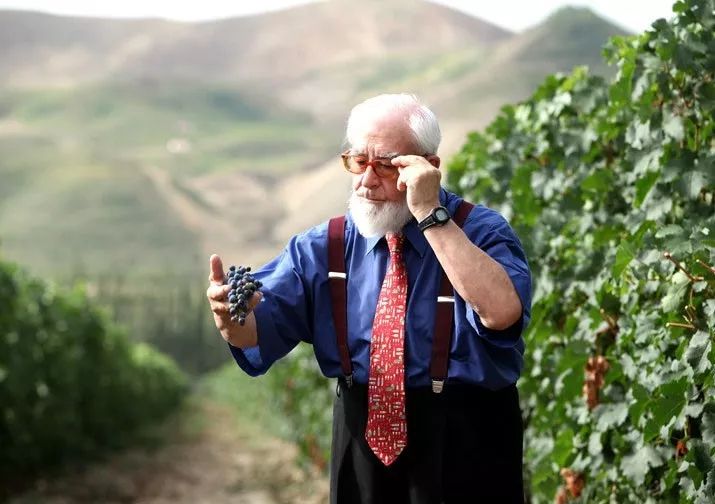 在*疆新**,谁才是“果界一哥”?