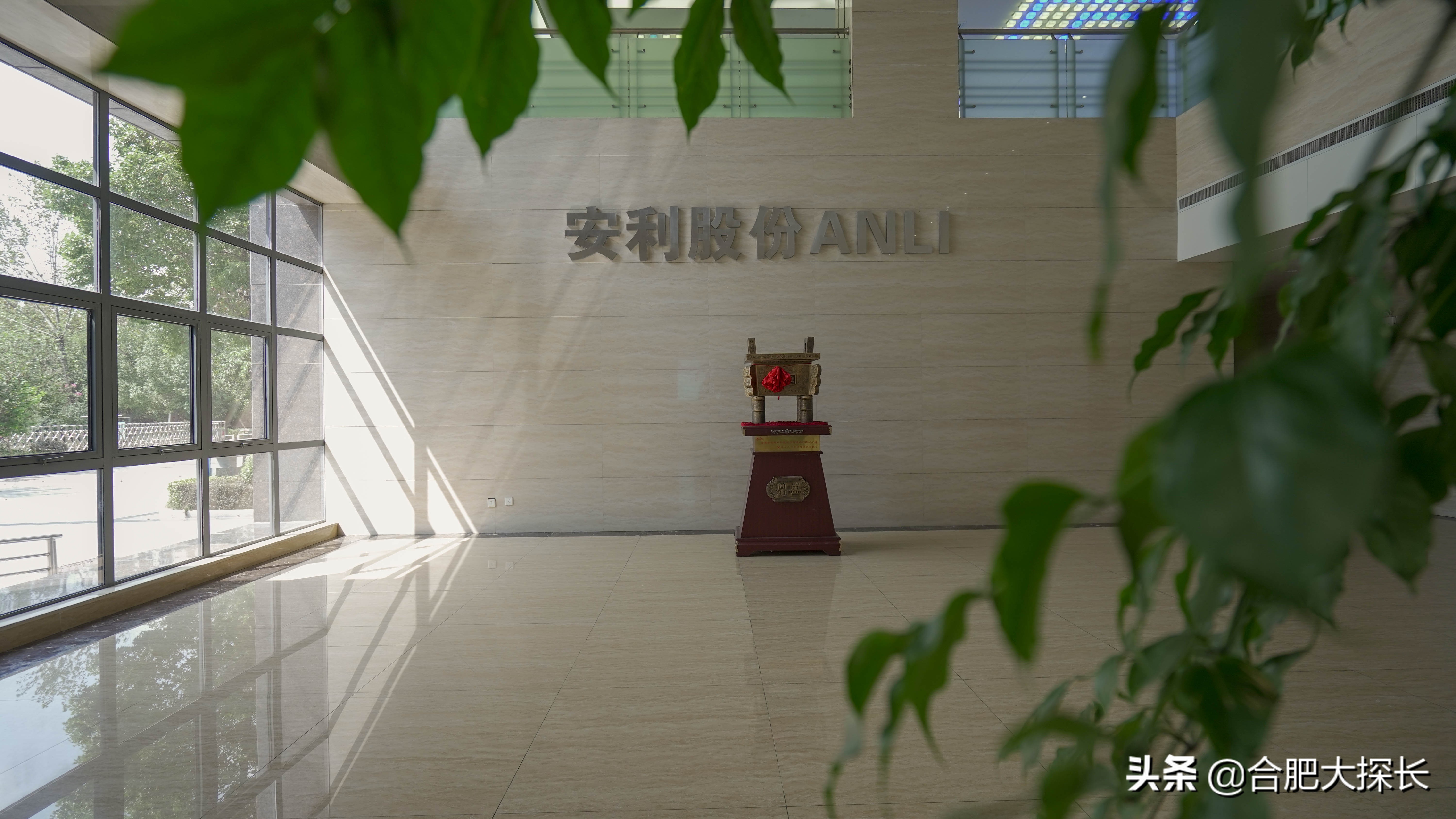 安利股份蓄势勃发未来可期,三十而立继往开来