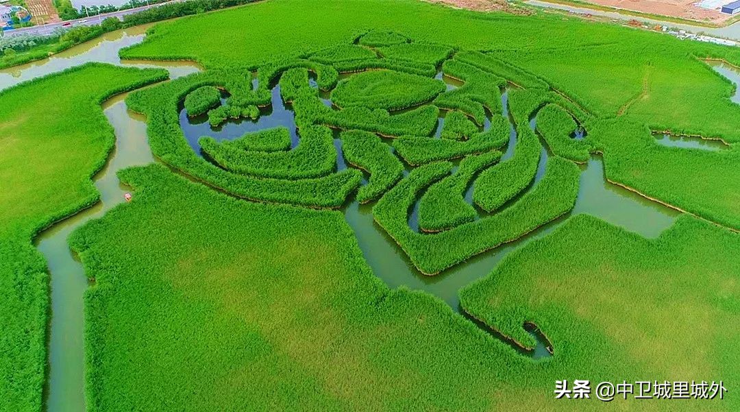 鸣翠湖垂钓开放时间,鸣翠湖养心岛垂钓