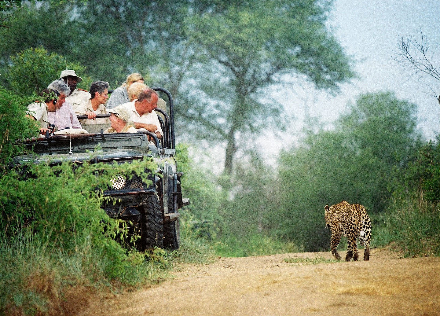 世界那么大想带你去看看,世界那么大想带你出去转转图片