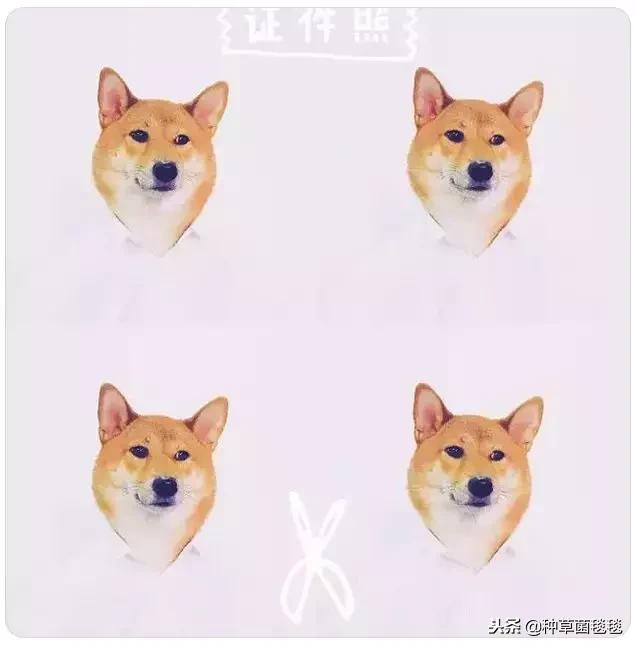 女人办公室必备物品,女生办公必备物品