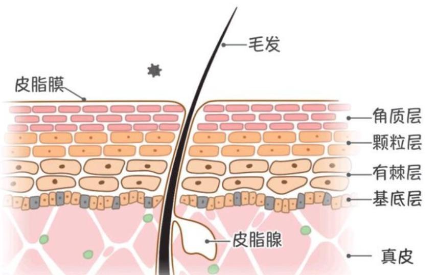 男士保湿补水控油推荐排名第一,男士控油保湿留香平价推荐