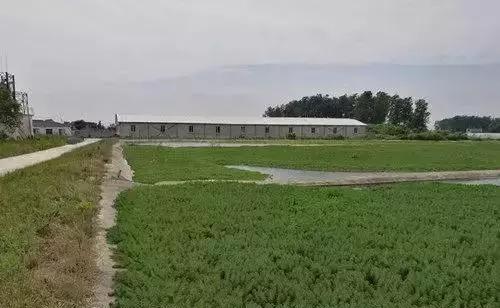 氧化塘处理养殖废水,养殖废水处理全套流程图