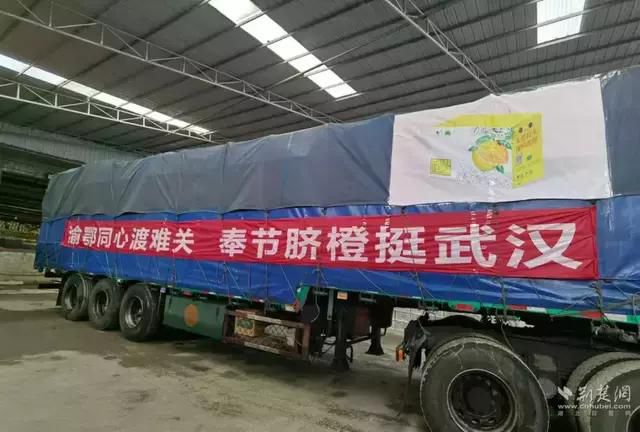 重庆，求求你别在寂寞无声