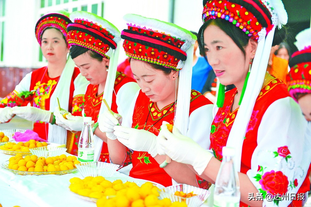 森浩集团与云南大理洱宝实业、省农科院、华西中医药研究所强强联手签约合作助推达川乌梅产业精深融合发展