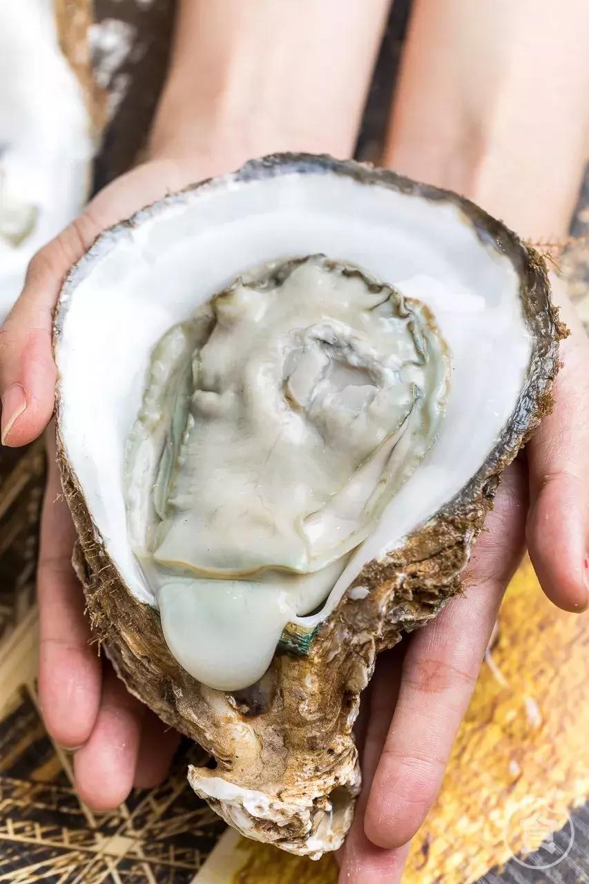 桥东爆出一锅「豪华花胶鸡」排队也要吃！还藏着一个海鲜市集