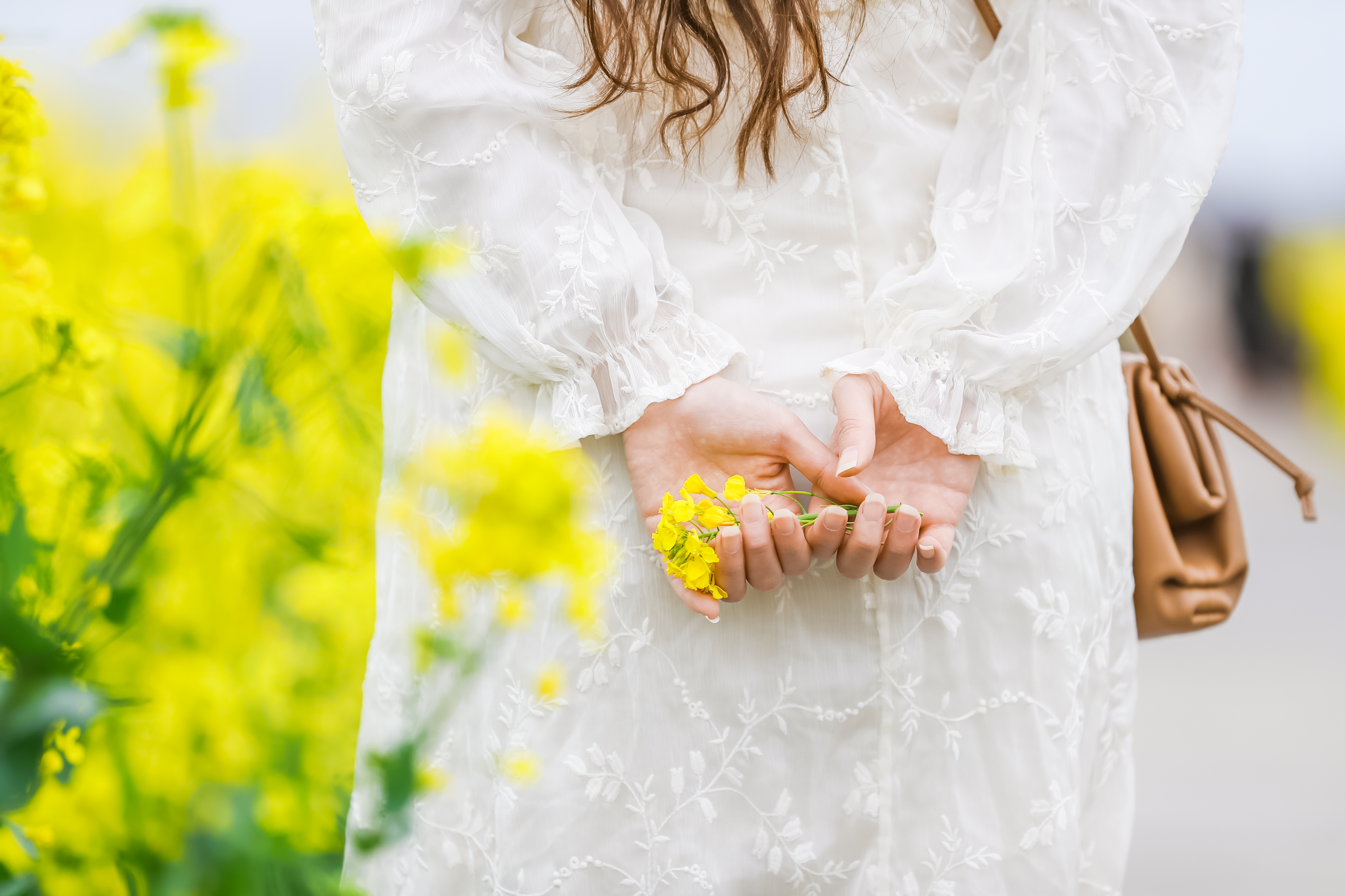 兴化三日游自驾游路线,去兴化看油菜花海攻略
