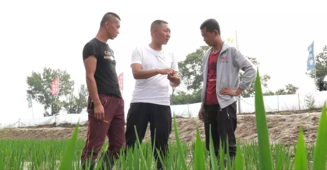 八一军人风采视频,迎八一展军人风采