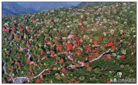 曲靖麒麟区海拔高度是多少,云南曲靖会泽县海拔多少米