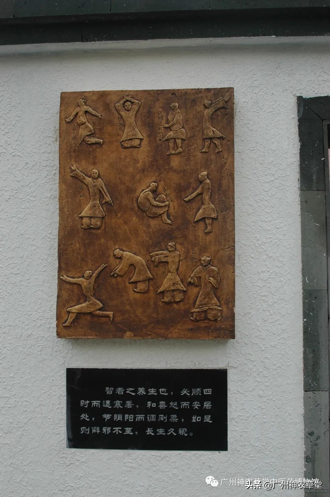 艸堂｜传说中可以挂太阳的树，草堂有