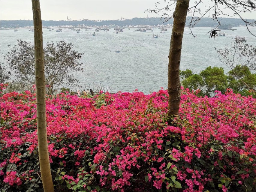 热带雨林中的蓬莱,热带岛屿游玩攻略
