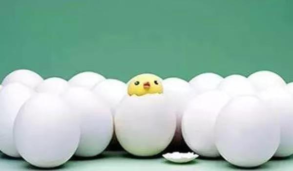 没钱投资做什么小本生意,白手起家创业做什么生意赚钱