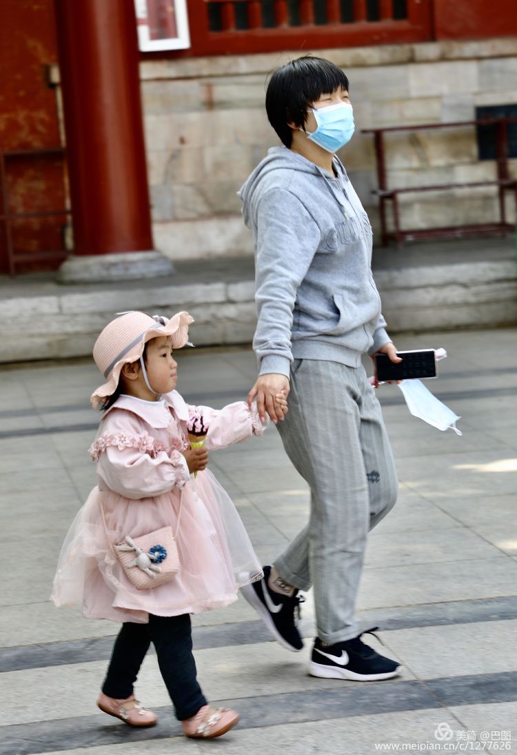 看洛阳牡丹花卉节,洛阳古都牡丹花展