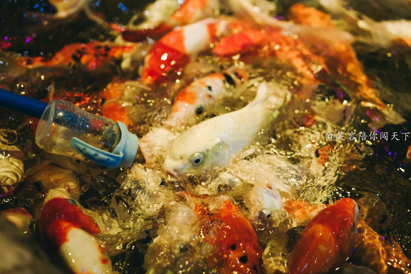 到安徽旅游景点,到安徽六安旅游