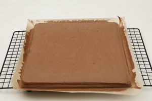 私房烘焙蛋糕卷,烘焙火爆产品蛋糕卷