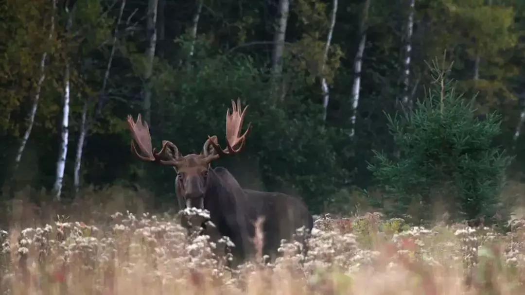 必看纪录片推荐建议收藏,推荐10部必看纪录片
