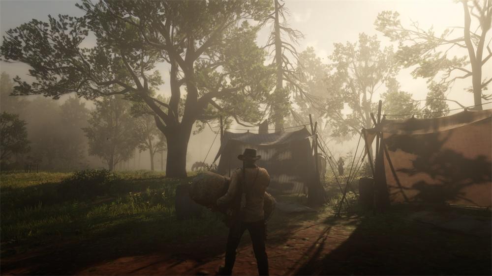 荒野大镖客救赎2pc优化怎么样,荒野大镖客救赎2pc