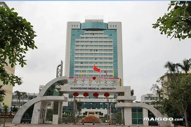 东莞市五大名校所在地,东莞松山湖未来学校排名