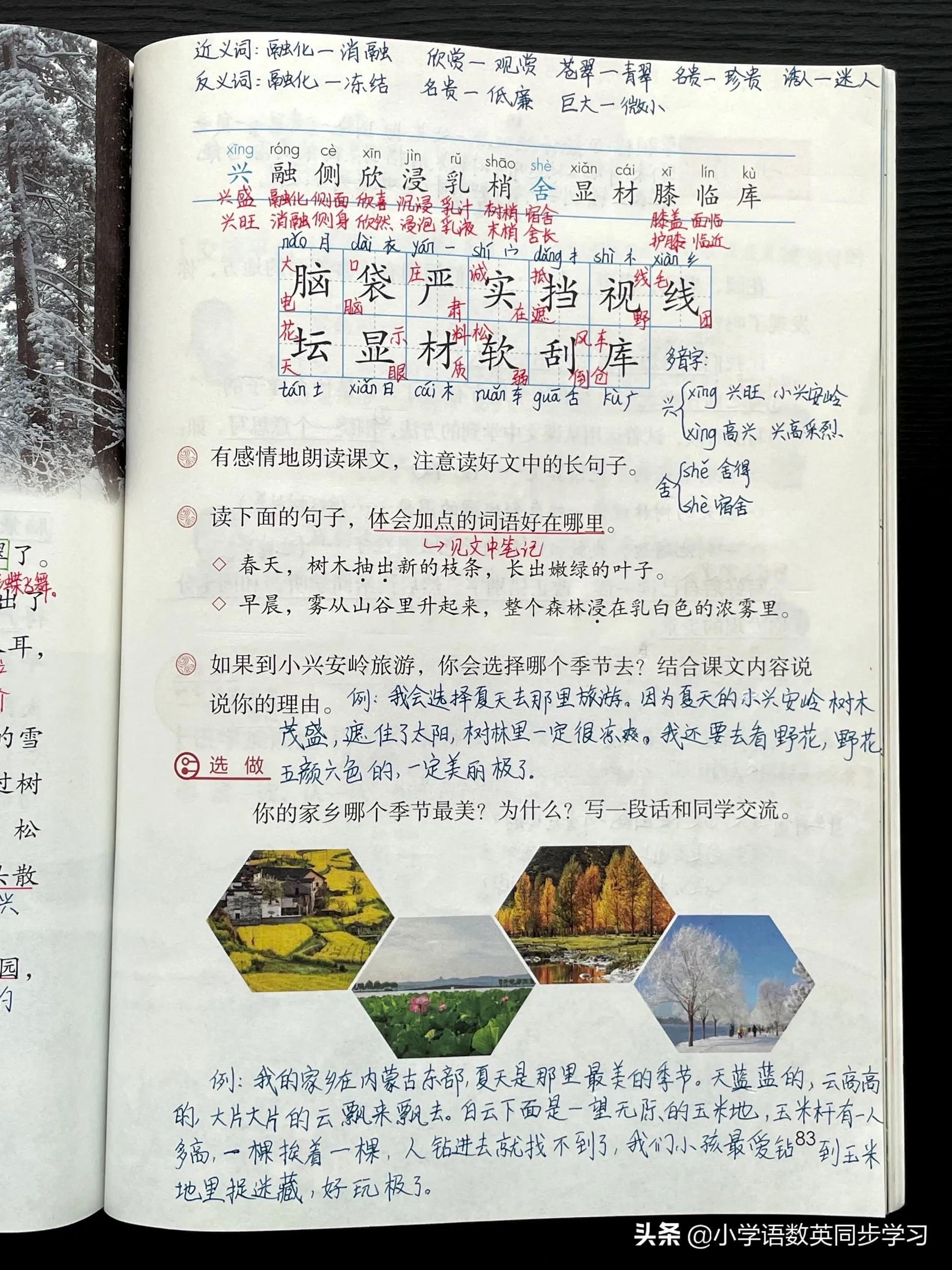 三年级上册第20课美丽的小兴安岭,三年级上册20美丽的小兴安岭生字