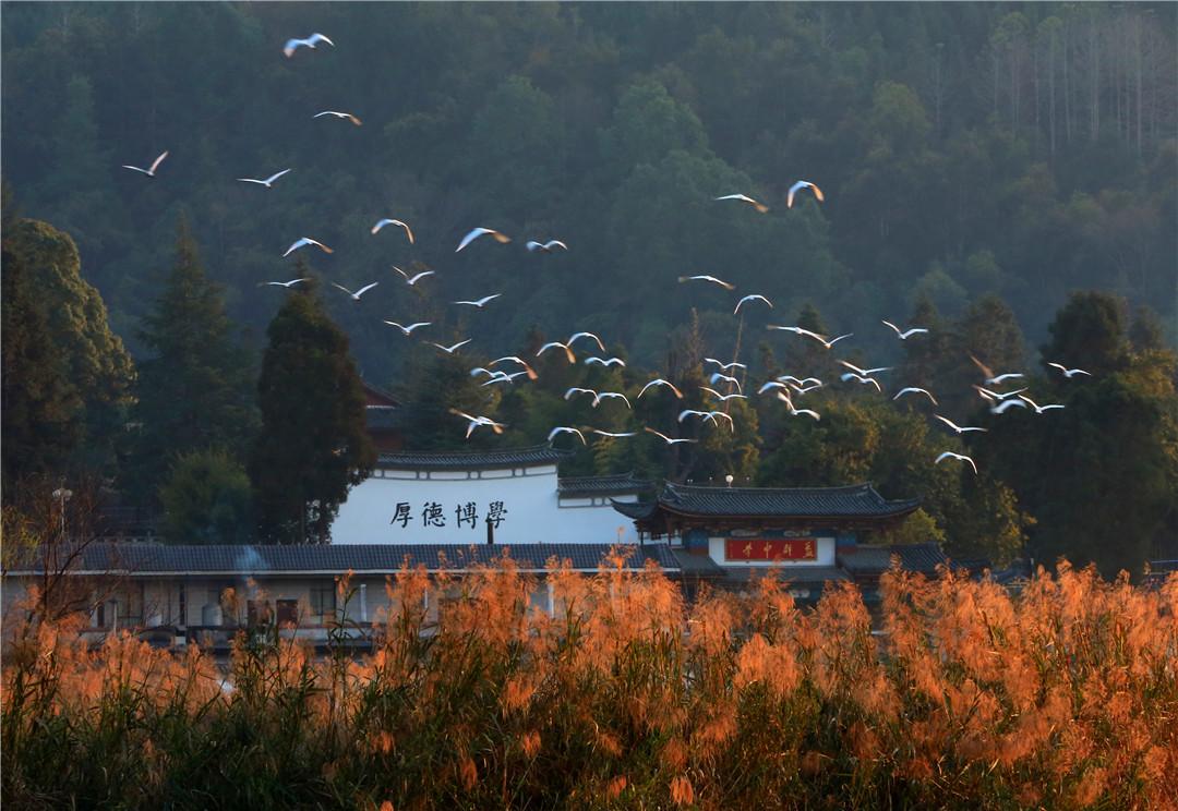 腾冲精品旅游,魅力腾冲旅游