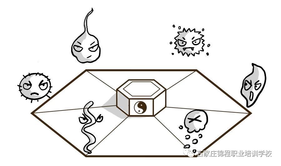 科普漫画脂肪肝,脂肪肝四大误区漫画