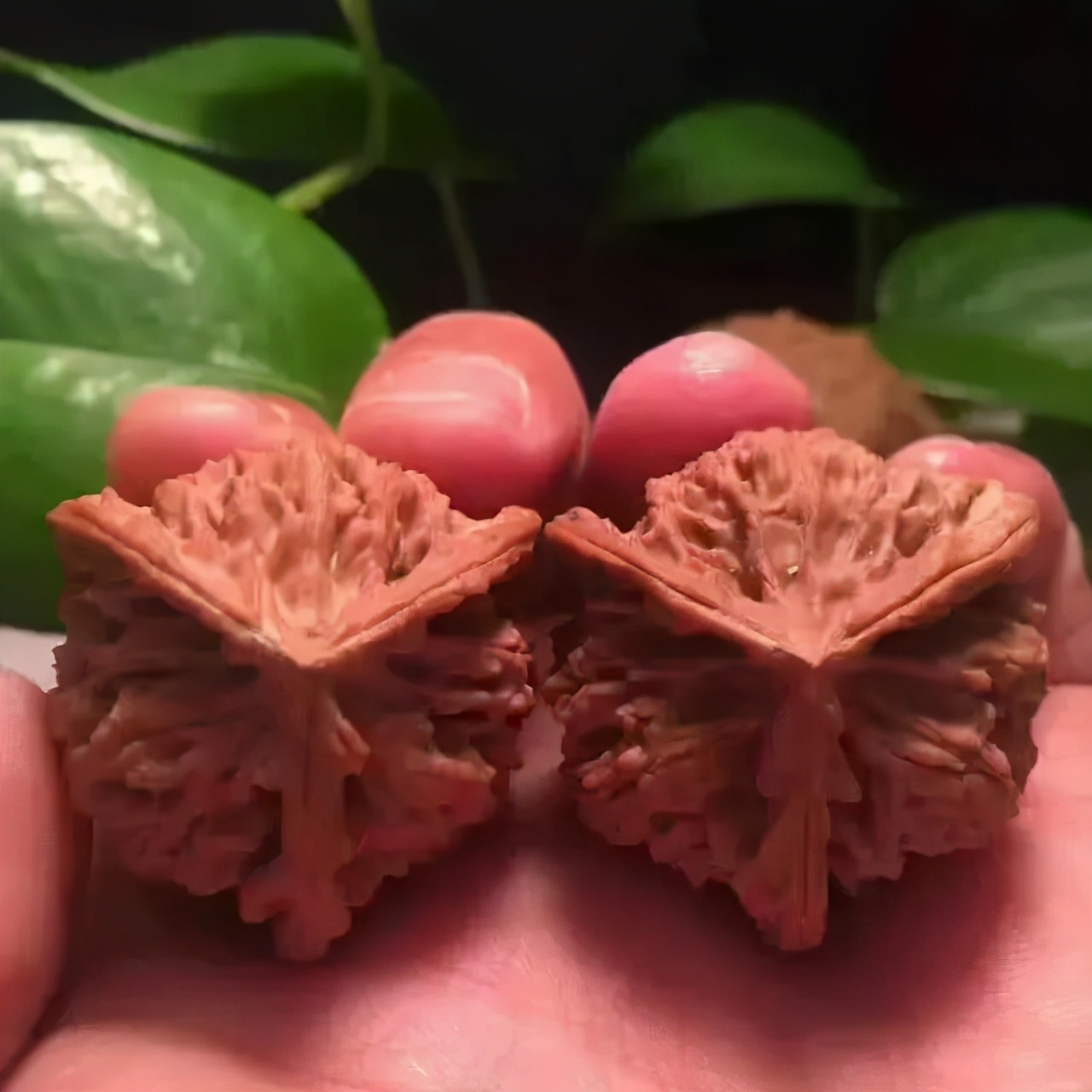 上色核桃怎么盘玩,核桃上色方法视频教程