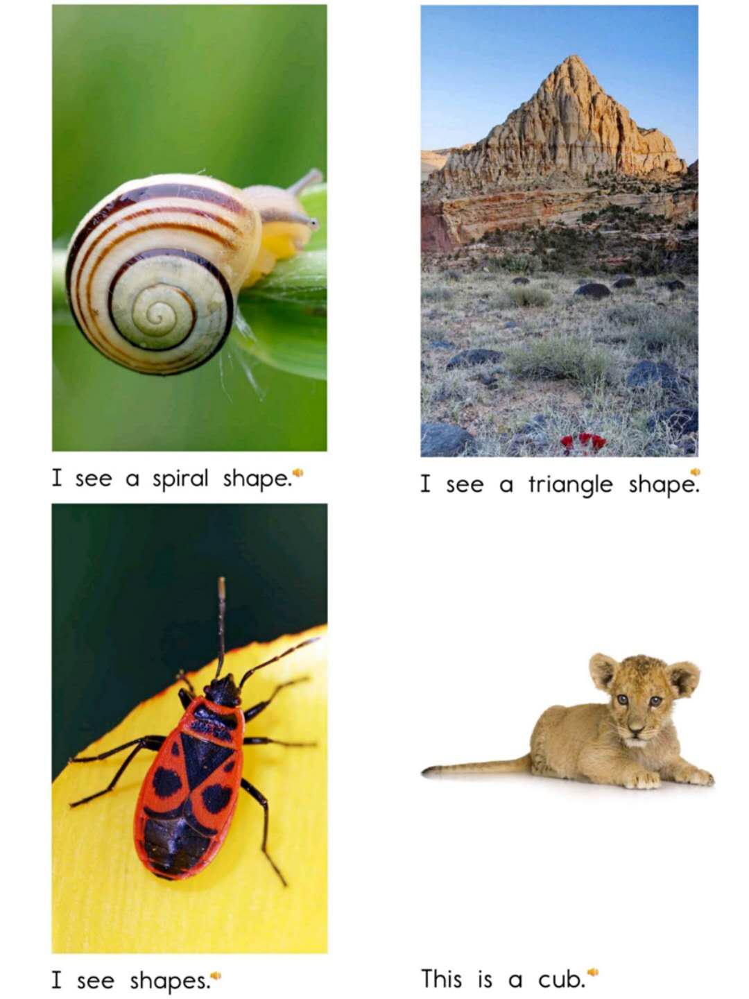 3年半的英文启蒙之路，丸子妈是如何收获一枚热爱英文的小牛蛙？