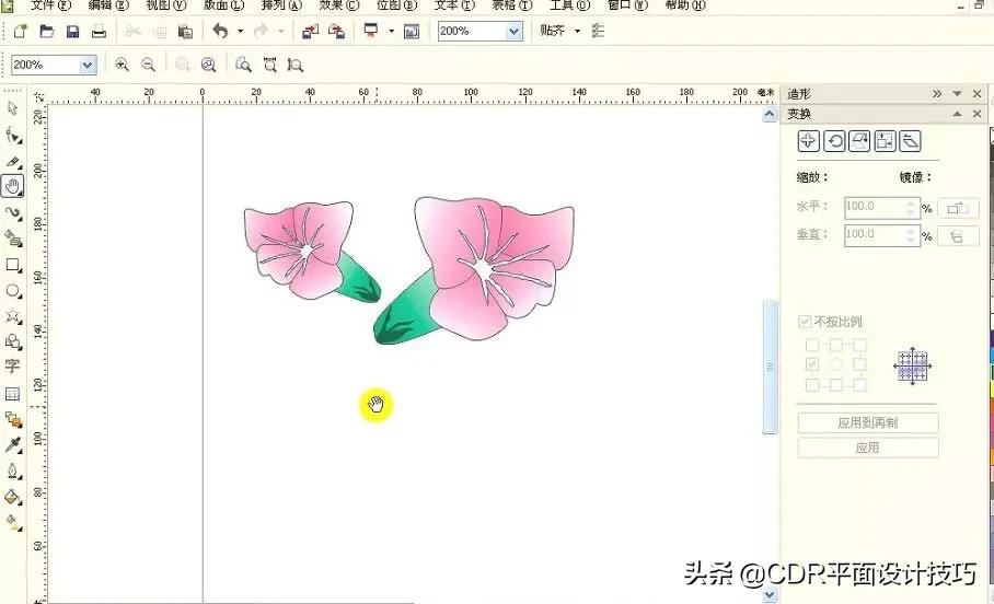 cdr教程从入门到精通如何添边框,cdrx8入门到精通全集