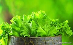 80后女孩,种植“天价”蔬菜