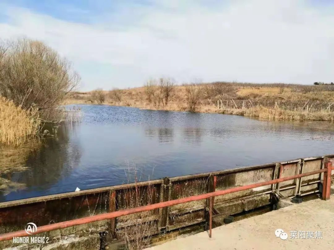 莱阳最古老的村,莱阳朱耩村