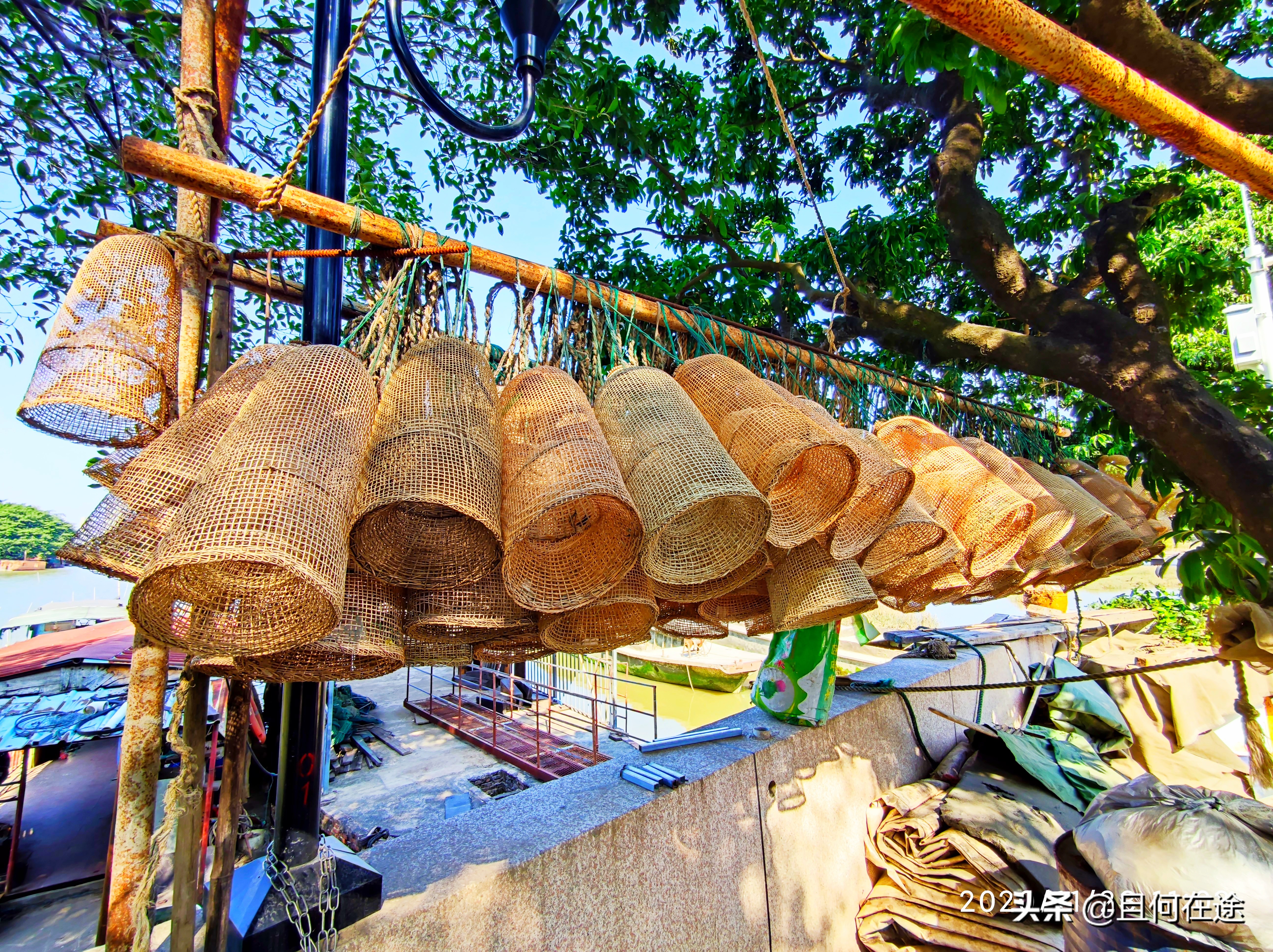为什么要把饭碗牢牢端在自己手中,怎样才能把自己饭碗端在自己手里