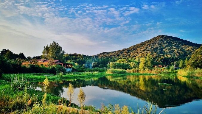 除了抖腿，武汉人还能怎样度过寒冬？