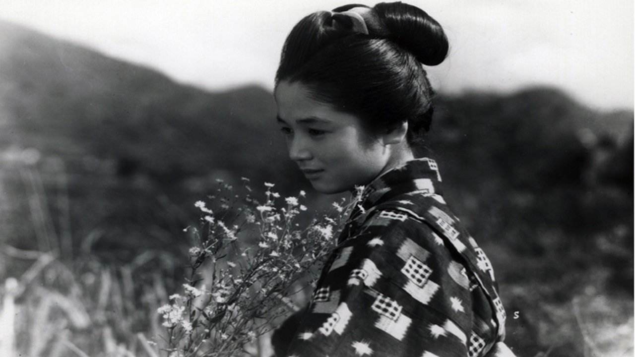 蟹肥菊花黄,蟹肥酒香菊花黄