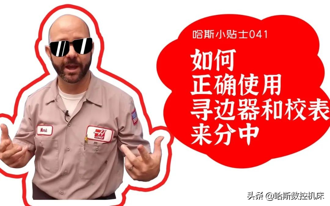 最受欢迎的哈斯,哈斯小贴士