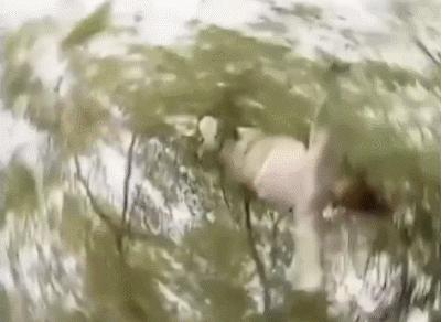 这个吻戏…看完连恋爱都不想谈了