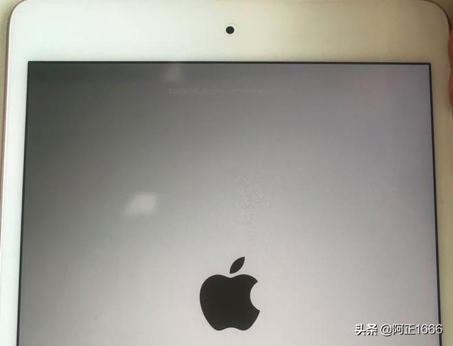 ipad5白苹果重启维修,ipadmini5重启白苹果