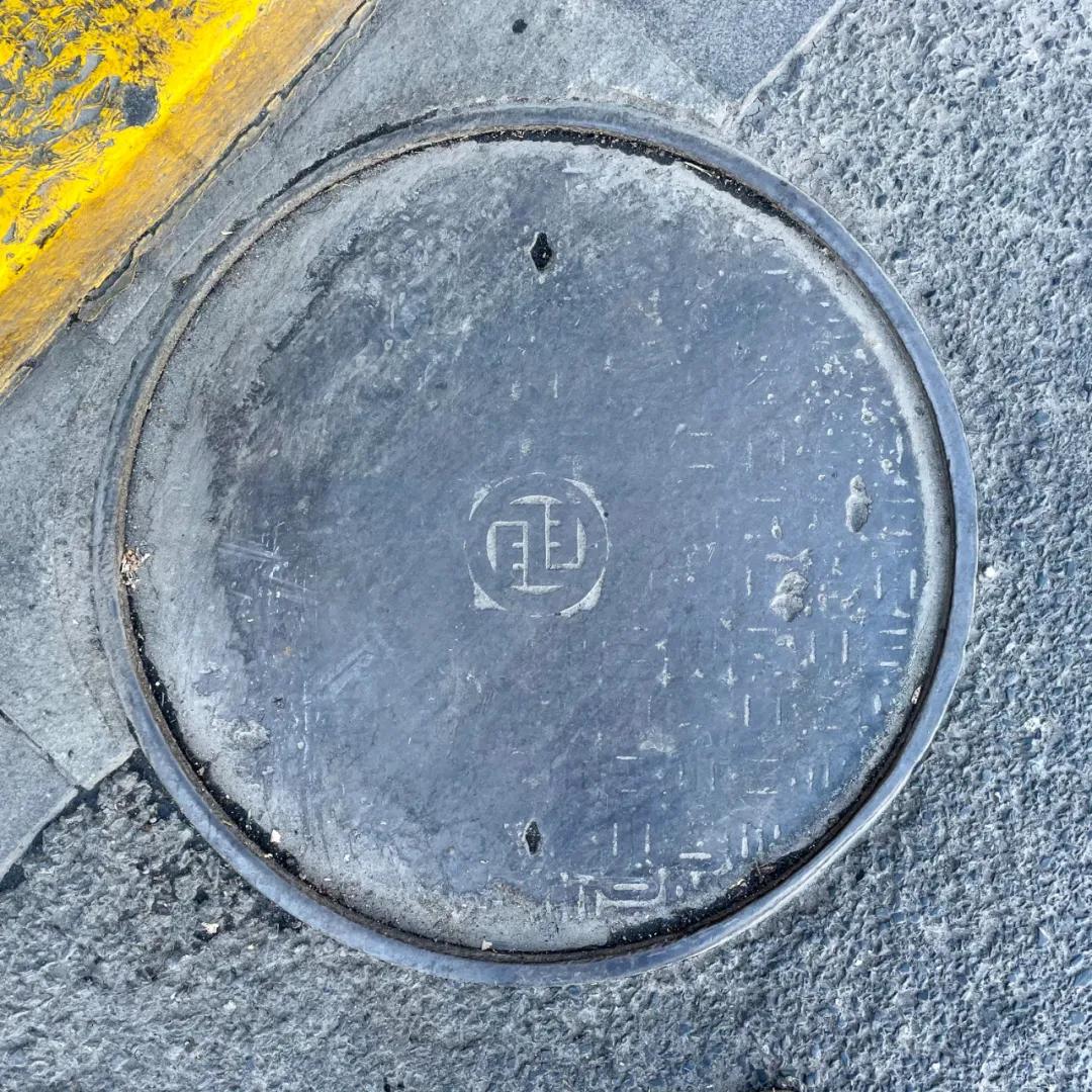 不要错过上海的春天,不要错过上海的夏天