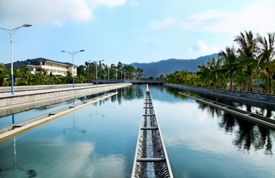 青岛移居,青岛移居海口定居真实感受