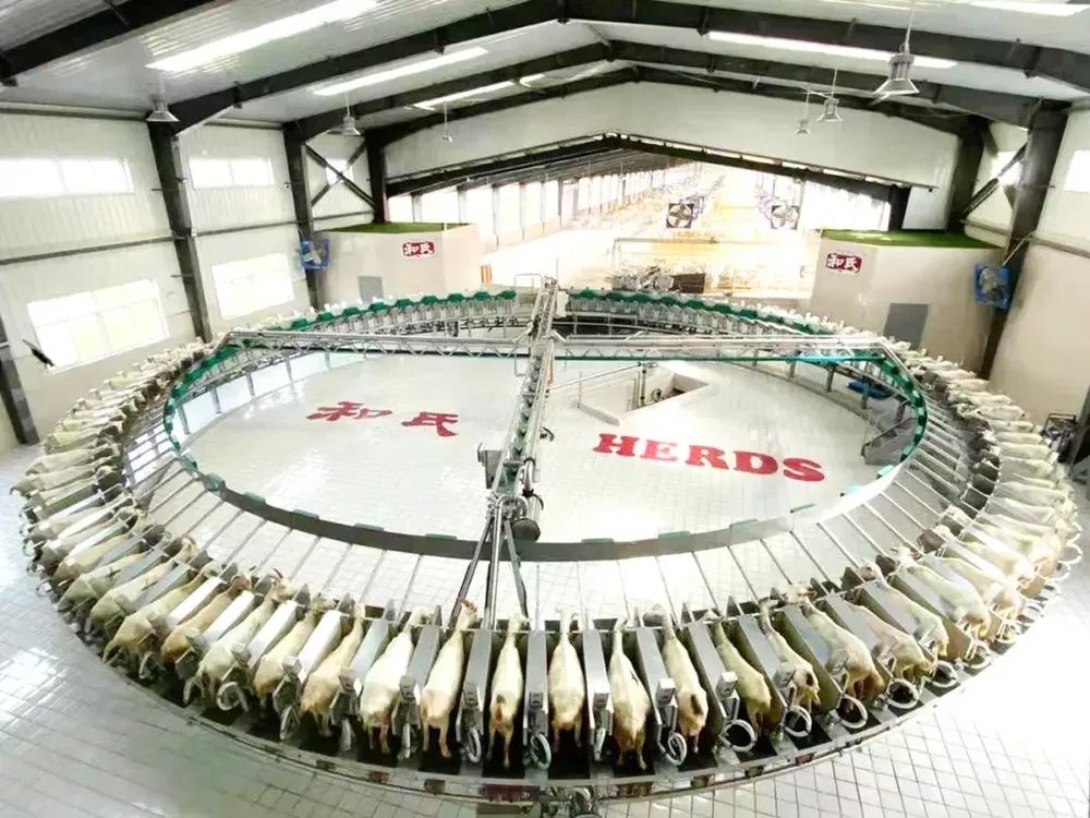 和氏羊奶粉和金瑞优,和氏羊奶好还是伊利羊奶粉好