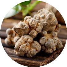 三七选哪种头数好,三七头数是什么意思