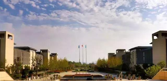 山东省高考志愿填报96个专业,山东高考志愿10万名